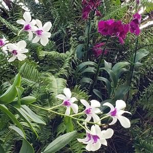 Meet your Posher, Edgar